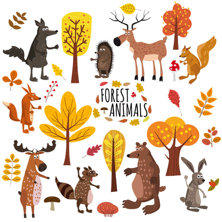 Set of cute forest animals bear, raccoon, squirrel, hare, fox, wolf, hedgehog, moose deer autumn leaves treesのイラスト素材