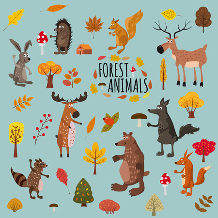 Set of cute forest animals bear, raccoon, squirrel, hare, fox, wolf, hedgehog, moose deer autumn leaves treesのイラスト素材