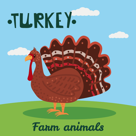 Cute Turkey farm animal character, farm animals, vector illustration on field background. Cartoon style, isolatedのイラスト素材