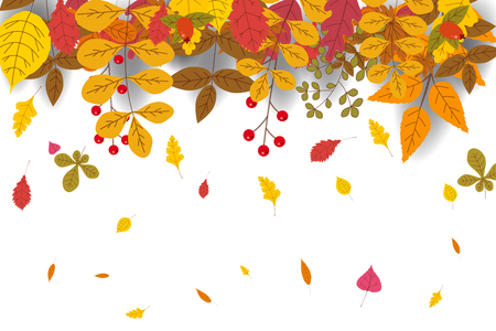 Hello Autumn, background with falling leaves, yellow, orange, brown fall letteringのイラスト素材