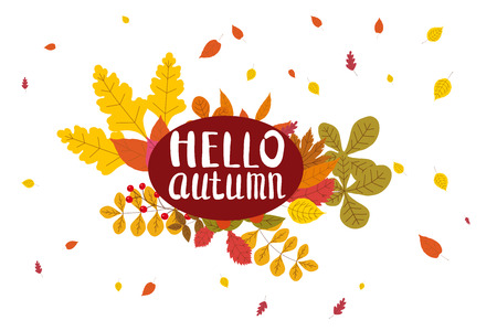 Hello Autumn, background with falling leaves, yellow, orange, brown, fall, lettering, template for poster, banner, vector, isolatedの写真素材