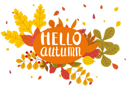 Hello Autumn, background with falling leaves, yellow, orange, brown fall letteringのイラスト素材