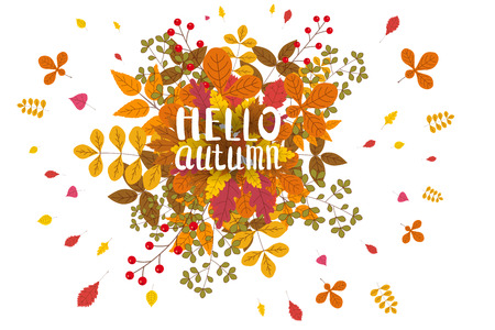 Hello Autumn, background with falling leaves, yellow, orange, brown fall letteringのイラスト素材
