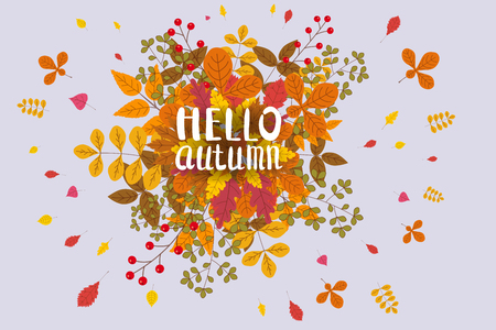 Hello Autumn, background with falling leaves, yellow, orange, brown fall letteringのイラスト素材