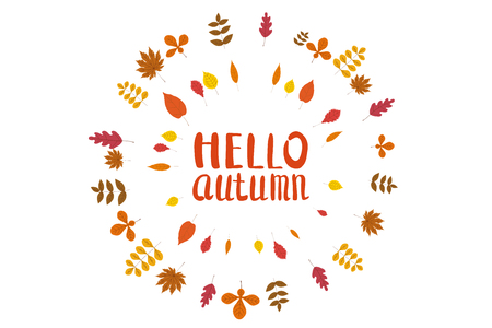 Hello Autumn, background with falling leaves, yellow, orange, brown, fall, lettering, template for poster, banner, vector, isolatedの写真素材