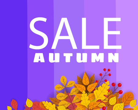 Banner for Autumn Sale, background with falling leaves, yellow, orange, brown, fall, lettering, template for poster, banner, vector, isolatedの写真素材