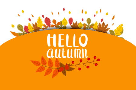 Hello Autumn, background with falling leaves, yellow, orange, brown fall letteringのイラスト素材