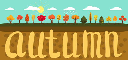 Simple landscape Set of autumn trees, different types, lettering, modern trend design, cute styleのイラスト素材