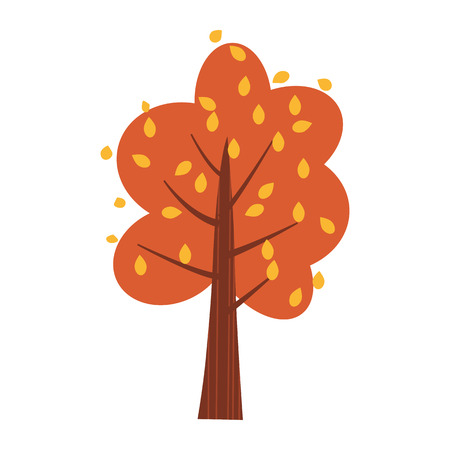 Colorful autumn tree. Cartoon yellow, orange, red fall tree for city park and forest landscape background vector isolatedの写真素材