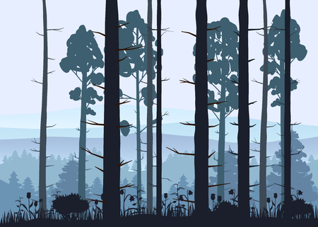 Sunny forest background. Vector illustration of woods in forest in sunlight background. Isolatedの写真素材