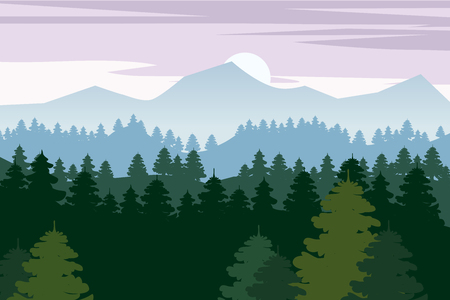 Pine forest and mountains vector backgrounds. Panorama landscape spruce silhouette illustration, vector, isolatedの写真素材