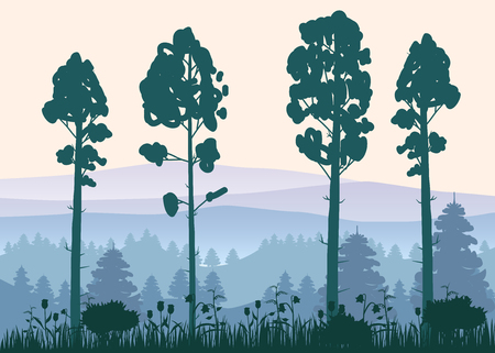 Sunny forest background. Vector illustration of woods in forest in sunlight background. Isolatedのイラスト素材