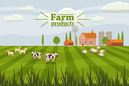 Rural landscape with milk farm and herd cows.のイラスト素材