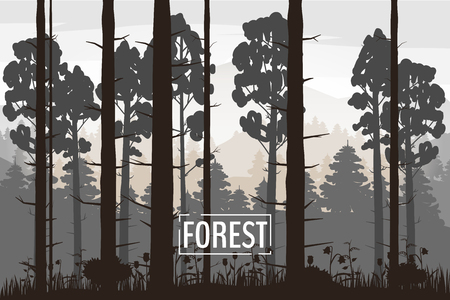Forest landscape minimalistic illustration. Pines trees silhouettes. Nature scene.のイラスト素材