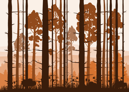 Sunny forest background. Vector illustration of woods in forest in sunlight background.のイラスト素材