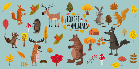 Set of cute forest animals bear, raccoon, squirrel, hare, fox, wolf, hedgehog, moose deer autumn leaves treesのイラスト素材