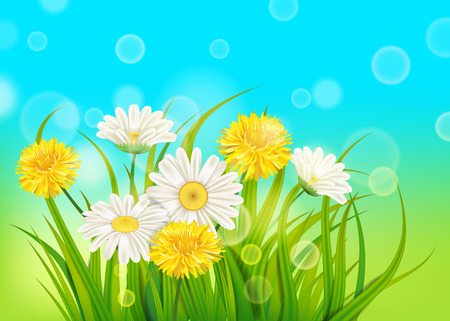 Spring daisies and dandelions background fresh green grassのイラスト素材