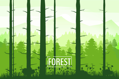 Spring beautiful landscape, forest, silhouettes of tree trunks, green color of foliageのイラスト素材
