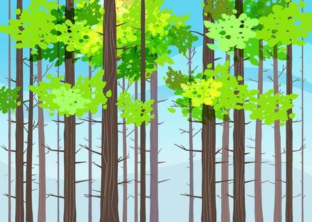 Beautiful Spring forest trees, green foliage, landscapeのイラスト素材