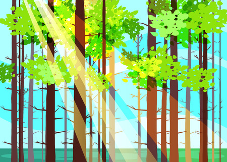 Beautiful Spring forest trees, green foliage, landscapeのイラスト素材