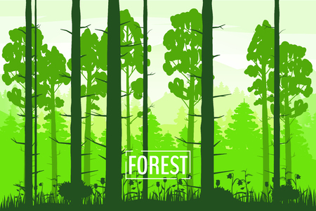 Spring beautiful landscape, forest, silhouettes of tree trunks, green color of foliageのイラスト素材