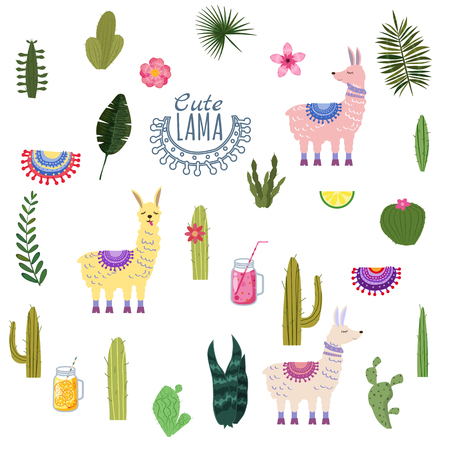 Set Lama Alpaca cacti drinks and decorative. Collection of elements for decorationのイラスト素材