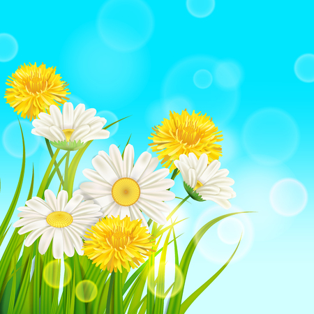 Spring daisies and dandelions background fresh green grassのイラスト素材
