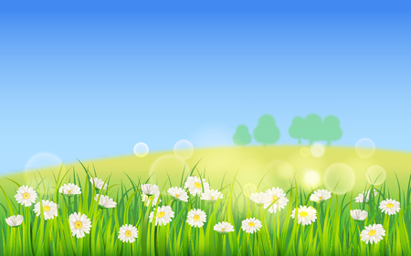 Template background Spring field of flowers of daisies and green juicy grass, meadow, blue sky, white cloudsのイラスト素材
