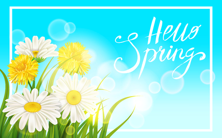 Spring daisies, chamomiles dandelions juicy green lettering. Spring grass background Template for banners, web, flyer. Vector illustration isolated.のイラスト素材