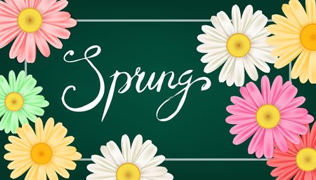 Spring banner. Hand drawn lettering. Background with chamomile, daisy. Spring Time template, flyer, posters, brochure. Happy spring Day. Fashionable styling. Flower vector isolatedのイラスト素材