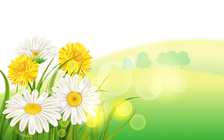 Spring flower daisy juicy, chamomiles yellow dandelions green grass background Template for banners, web, flyer. Vector illustration isolated.のイラスト素材