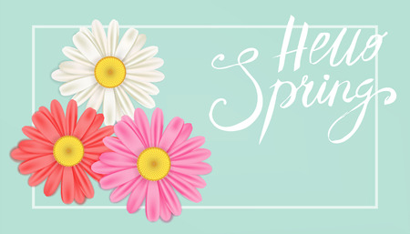 Hello Spring banner. Hand drawn lettering. Background with chamomile, daisy. Spring Time template, flyer, posters, brochure. Happy spring Day. Fashionable styling. Flower vector isolatedのイラスト素材