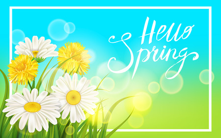 Spring daisies, chamomiles dandelions juicy green lettering Spring grass background Template for banners, web, flyer. Vector illustration isolated.のイラスト素材