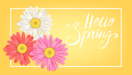 Hello Spring banner. Hand drawn lettering. Background with chamomile, daisy. Spring Time template, flyer, posters, brochure. Happy spring Day. Fashionable styling. Flower vector isolatedのイラスト素材