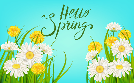 Hello Spring banner. Hand drawn lettering. Background with chamomile, daisy. Spring Time template, flyer, posters, brochure. Happy spring Day. Fashionable styling. Flower vector isolatedのイラスト素材