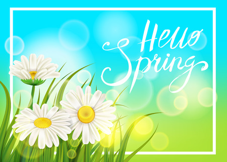 Spring daisies, chamomiles dandelions juicy green lettering. Spring grass background Template for banners, web, flyer. Vector illustration isolated.のイラスト素材