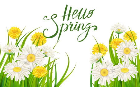 Hello Spring banner. Hand drawn lettering. Background with chamomile, daisy. Spring Time template, flyer, posters, brochure. Happy spring Day. Fashionable styling. Flower vector isolatedのイラスト素材
