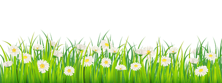 Template background Spring field of flowers of daisies and green juicy grass, meadow, blue sky, white cloudsのイラスト素材