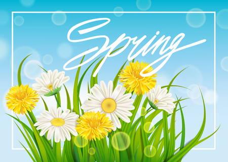 Spring daisies and dandelions background fresh green grass, pleasant juicy spring colorsのイラスト素材