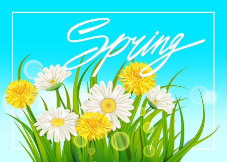 Spring chamomile and dandelions background fresh green grassのイラスト素材