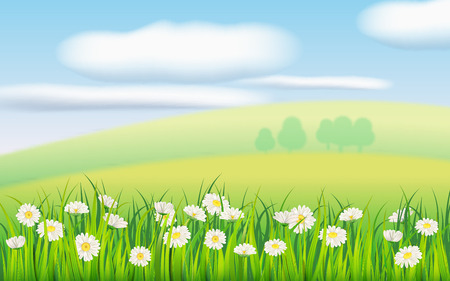 Spring field of flowers of daisies, chamomile and green juicy grass, meadow, blue sky, white cloudsのイラスト素材
