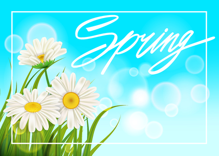 Spring daisies background fresh green grass, pleasant juicy spring colorsのイラスト素材