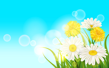 Spring flower daisy juicy, chamomiles yellow dandelions green grass background Template for banners, web, flyer. Vector illustration isolated.