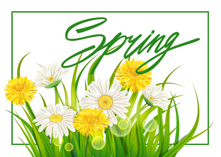 Spring chamomile and dandelions background fresh green grassのイラスト素材
