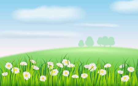 Spring field of flowers of daisies, chamomile and green juicy grass, meadow, blue sky, white cloudsのイラスト素材