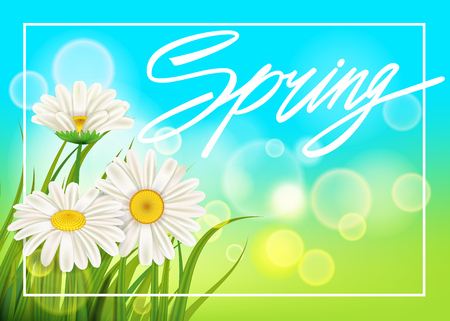 Spring daisies background fresh green grass, pleasant juicy spring colorsのイラスト素材