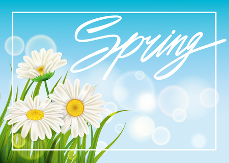 Spring daisies background fresh green grass, pleasant juicy spring colorsのイラスト素材