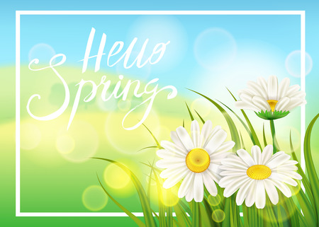 Spring daisies, chamomiles dandelions juicy green lettering. Spring grass background Template for banners, web, flyer. Vector illustration isolated.のイラスト素材