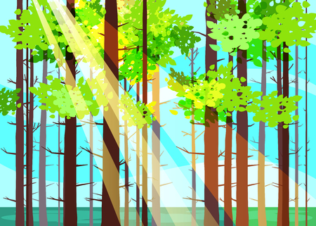 Beautiful Spring forest trees, green foliage, landscapeのイラスト素材