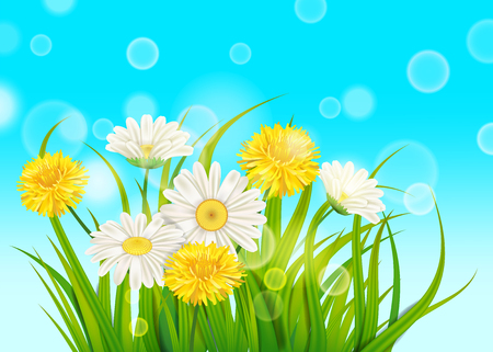 Spring chamomile and dandelions background fresh green grassのイラスト素材